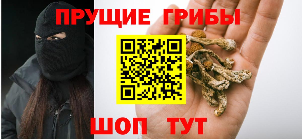 Псилоцибиновые грибы GOLDEN TEACHER  Вход с VPN  Донской 